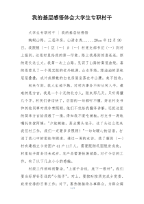 我的基层感悟体会大学生专职村干