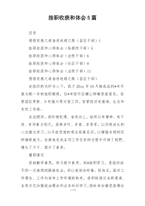 挂职收获和体会5篇