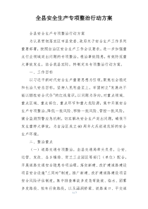 全县安全生产专项整治行动方案