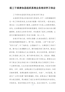 组工干部参加县组织系统业务培训学习体会
