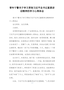 青年干警关于学习贯彻习近平总书记重要讲话精神的学习心得体会