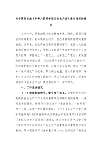 关于贯彻实施中华人民共和国安全生产法落实情况的报告