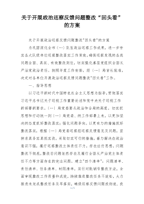 关于开展政治巡察反馈问题整改“回头看”的方案