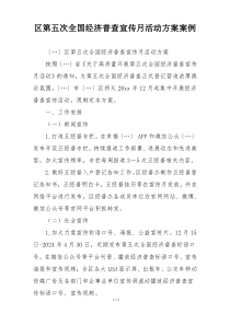 区第五次全国经济普查宣传月活动方案案例