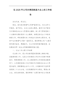 在2025年公司共青团换届大会上的工作报告