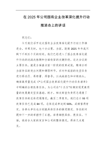 在2025年公司国有企业改革深化提升行动推进会上的讲话