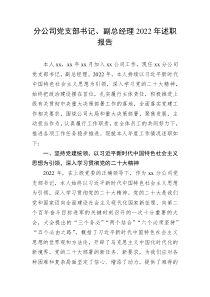 分公司党支部书记副总经理20XX年述职报告