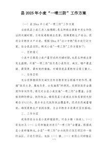 县2025年小麦“一喷三防”工作方案