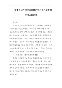 党委书记在供电公司理论学习中心组专题学习上的讲话
