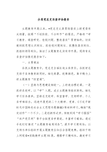 分局党总支自查评估报告