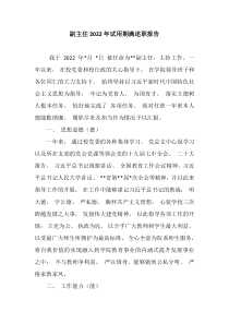 副主任20XX年试用期满述职报告学校