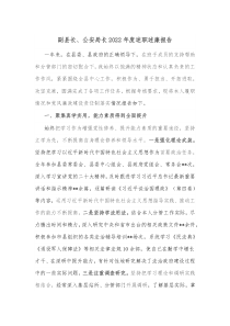 副县长公安局长20XX年度述职述廉报告