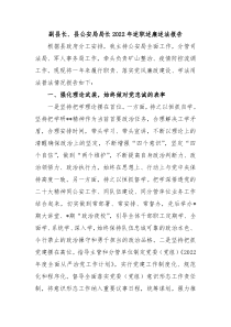 副县长县公安局局长20XX年述职述廉述法报告