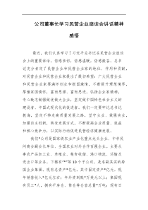 公司董事长学习民营企业座谈会讲话精神感悟