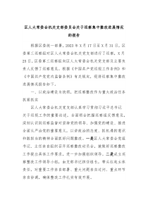 区人大常委会机关支部委员会关于巡察集中整改进展情况的报告