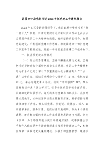 区县审计局党组书记20XX年抓党建工作述职报告