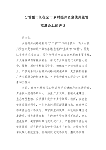 分管副市长在全市乡村振兴资金使用监管推进会上的讲话