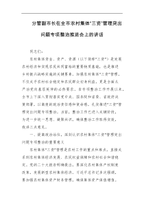 分管副市长在全市农村集体三资管理突出问题专项整治推进会上的讲话