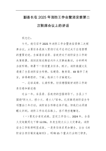 副县长在2025年消防工作会暨消安委第二次联席会议上的讲话