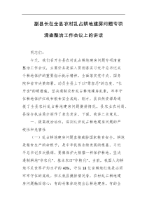 副县长在全县农村乱占耕地建房问题专项清查整治工作会议上的讲话