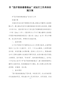 市“医疗救助慈善基金”试运行工作具体实施方案