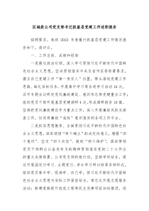 区城投公司党支部书记抓基层党建工作述职报告