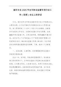 副市长在2025年全市财会监督专项行动工作视频会议上的讲话