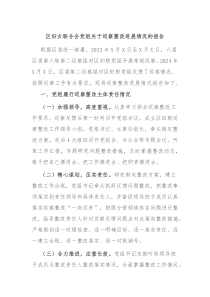 区妇女联合会党组关于巡察整改进展情况的报告
