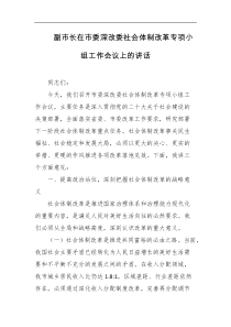 副市长在市委深改委社会体制改革专项小组工作会议上的讲话