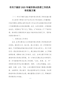 市关于做好2025年城市排水防涝工作的具体实施方案