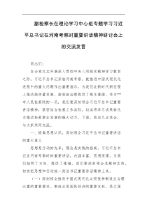 副检察长在理论学习中心组专题学习习近平总书记在河南考察时重要讲话精神研讨会上的交流发言