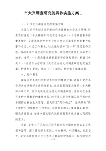 市大兴调查研究的具体实施方案1
