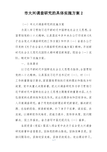 市大兴调查研究的具体实施方案2