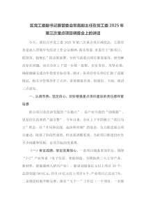 区党工委副书记兼管委会常务副主任在党工委2025年第三次重点项目调度会上的讲话
