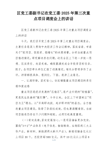 区党工委副书记在党工委2025年第三次重点项目调度会上的讲话