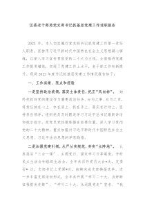 区委老干部局党支部书记抓基层党建工作述职报告