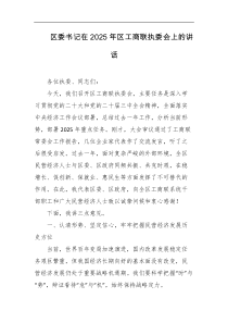 区委书记在2025年区工商联执委会上的讲话