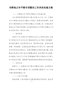 市耕地占补平衡专项整治工作具体实施方案