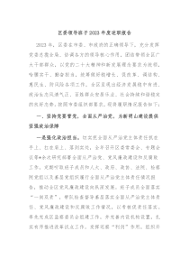 区委领导班子20XX年度述职报告