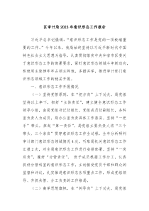 区审计局20XX年意识形态工作报告