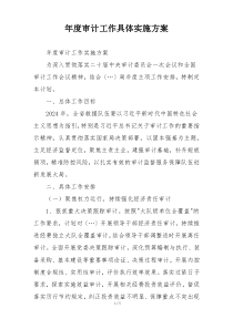 年度审计工作具体实施方案