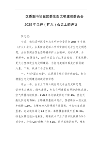 区委副书记在区委生态文明建设委员会2025年全体扩大会议上的讲话