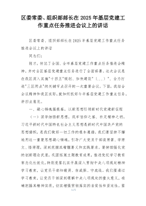 区委常委、组织部部长在2025年基层党建工作重点任务推进会议上的讲话