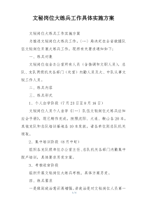 文秘岗位大练兵工作具体实施方案