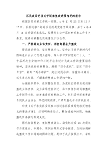区民政局党组关于巡察整改进展情况的报告