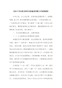 区红十字会党支部书记抓基层党建工作述职报告