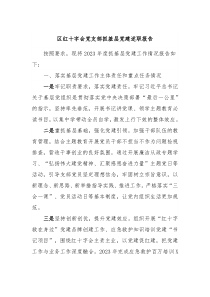 区红十字会党支部抓基层党建述职报告