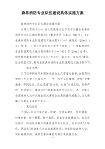 森林消防专业队伍建设具体实施方案