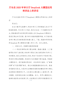 厅长在2025年审计厅DeepSeek大模型应用培训会上的讲话
