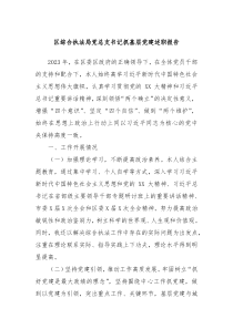 区综合执法局党总支书记抓基层党建述职报告